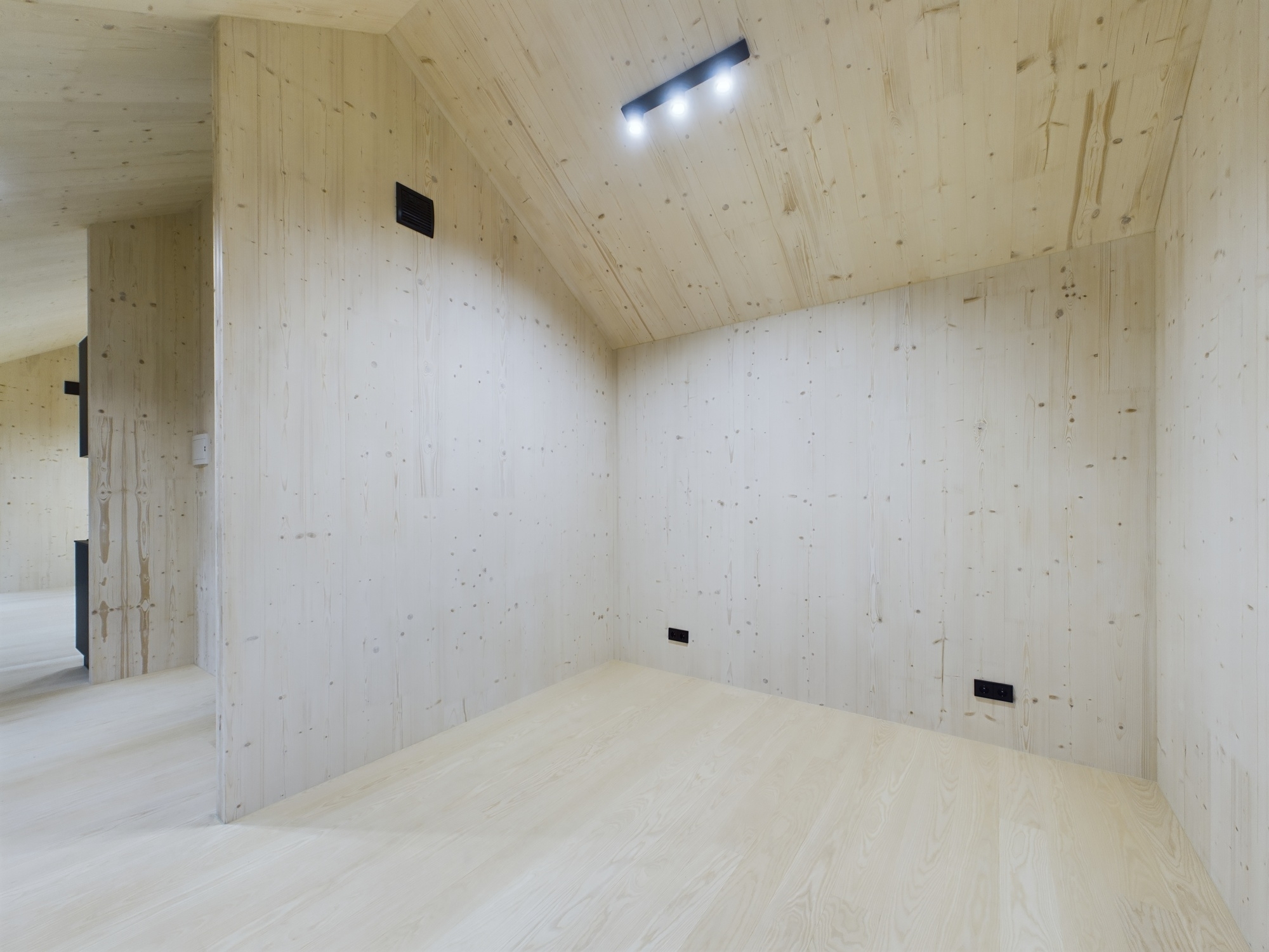 Tuvplāns: Gaiša koka apdare, minimālisma apgaismojums un melnas rozetes. Kvalitatīva moduļu mājas interjera detaļu fotogrāfija.