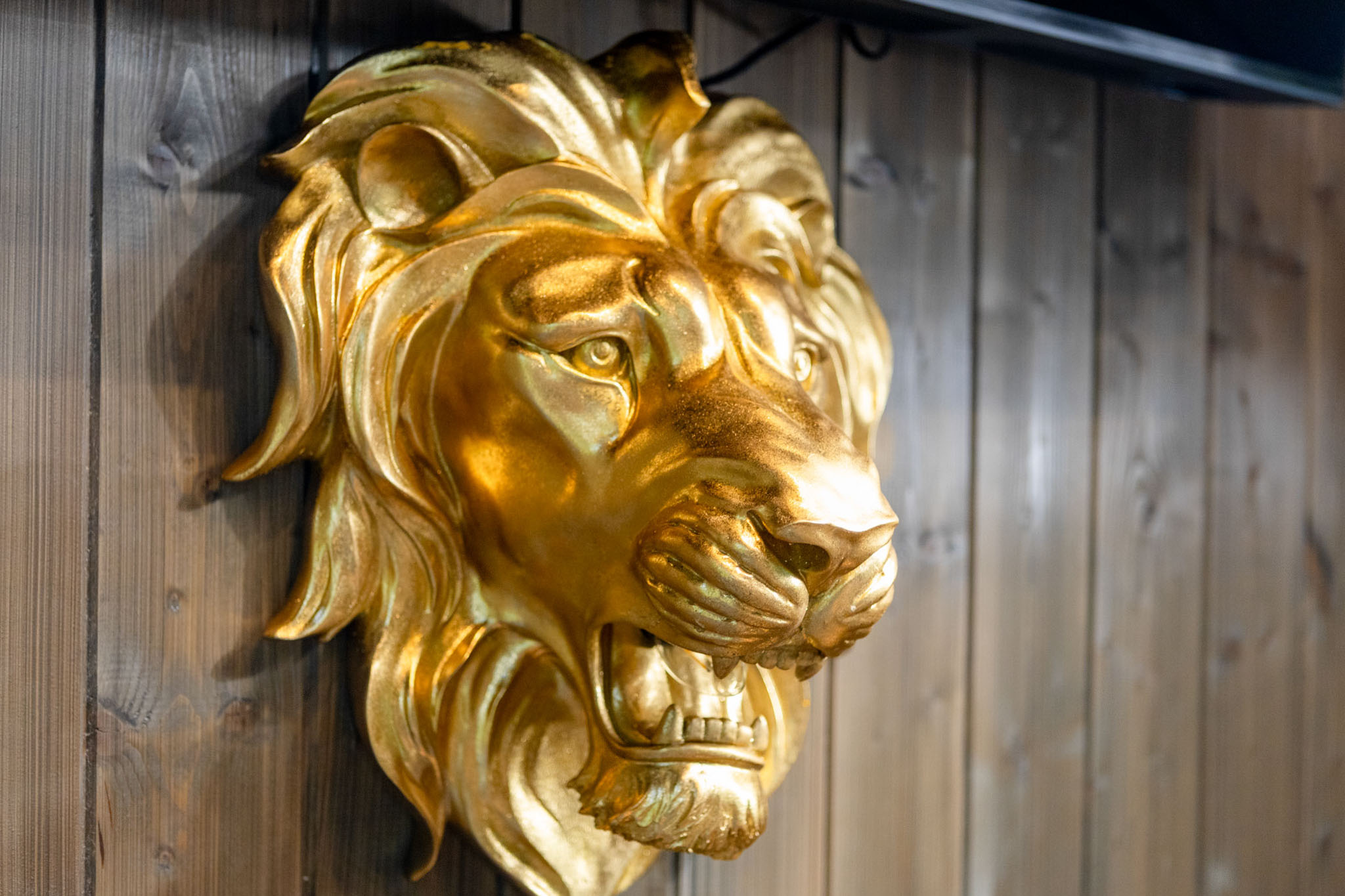 Ekskluzīva interjera detaļa: Lauvas galvas skulptūra uz koka sienas – nekustamā īpašuma fotogrāfijas