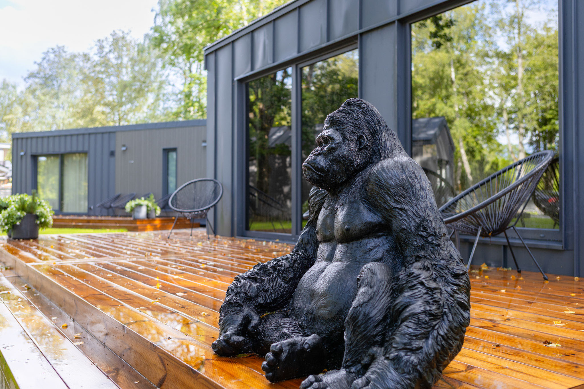 Unikāla ārtelpas fotogrāfija: Moderna koka terase ar gorillas skulptūru – drona fotogrāfijas un foto